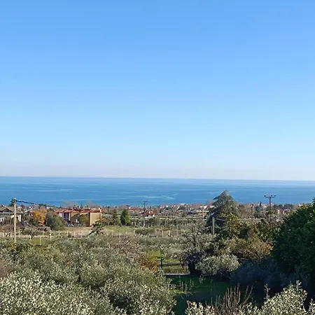 Azure & Olive Estate *