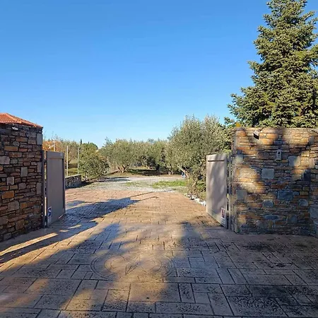 Azure & Olive Estate