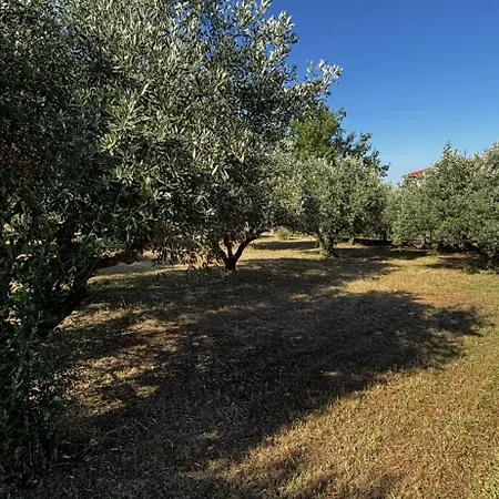 Сasa de vacaciones Azure & Olive Estate Leptokarya (Pieria)